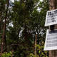 Illustration for article titled Your Old Phone Could Help Eavesdrop on Illegal Rainforest Loggers